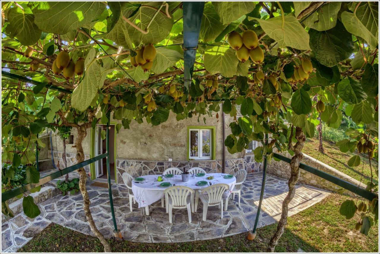 Апартаменти Fantastica Casa Poppo Беллано Екстер'єр фото